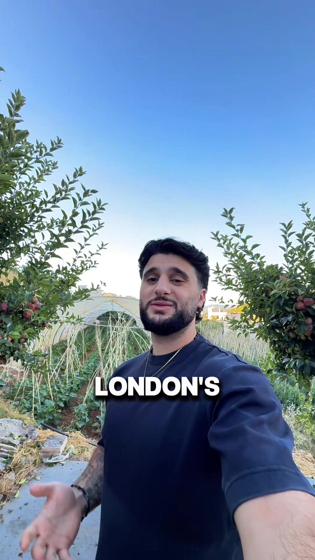 @lebosabroad