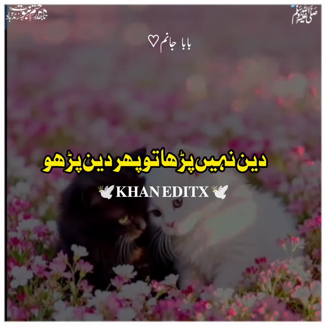 @𝐊𝐇𝐀𝐍 𝐄𝐃𝐈𝐓𝐗 ♡︎ TLP