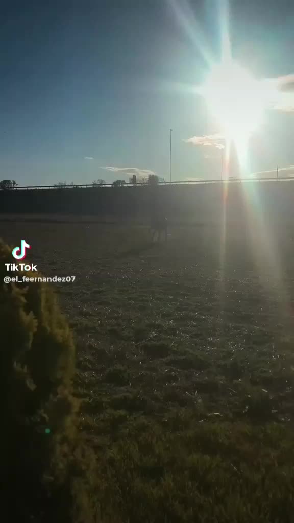 @CUADRA FERN&Aacute;NDEZ 🇦🇿🐎