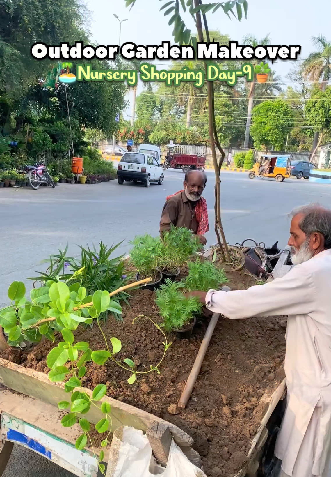 @Plantwithmomin