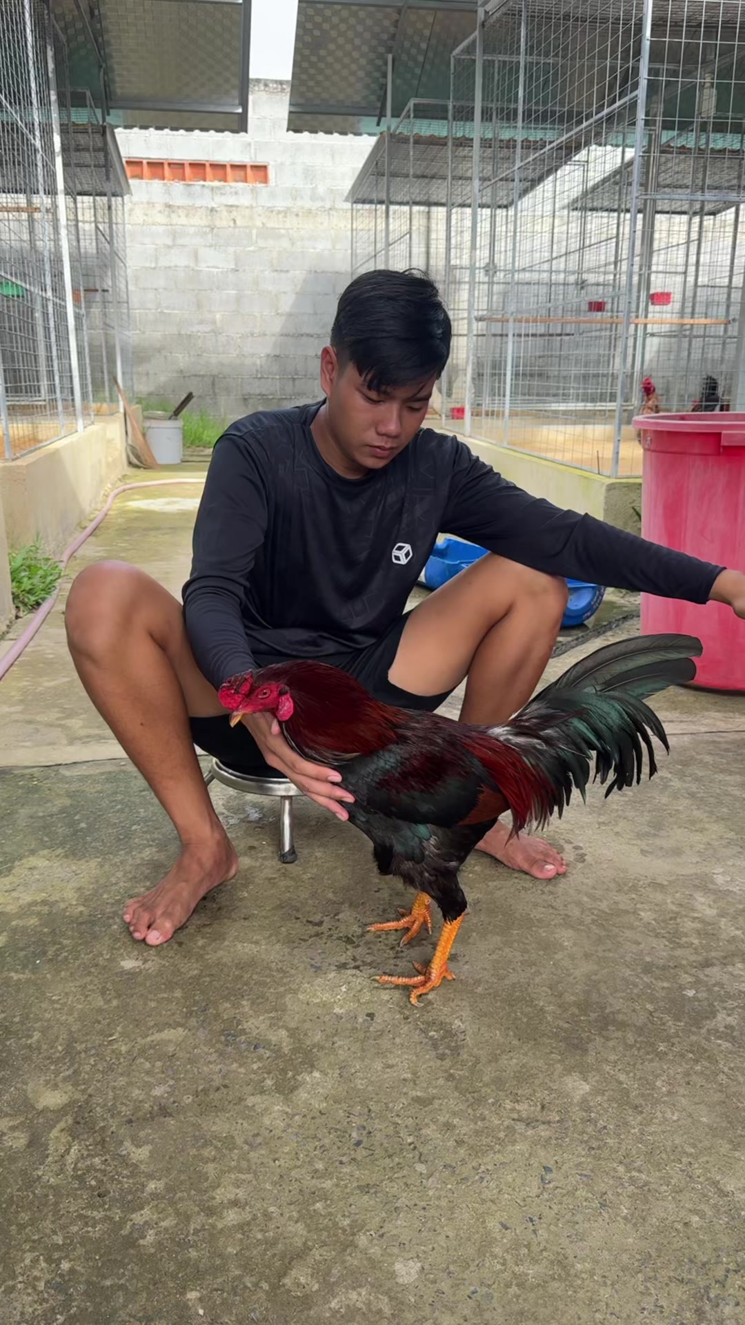 @Thông Lê