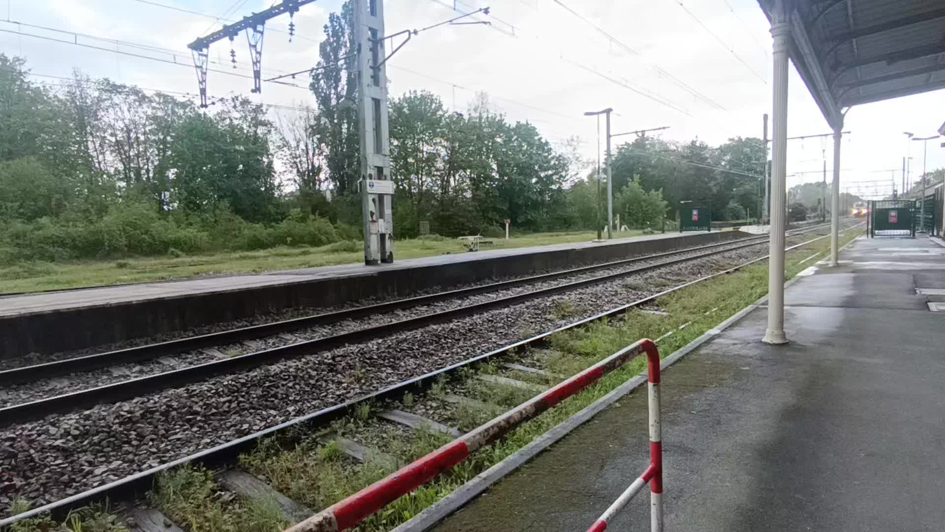 @Max 🚂