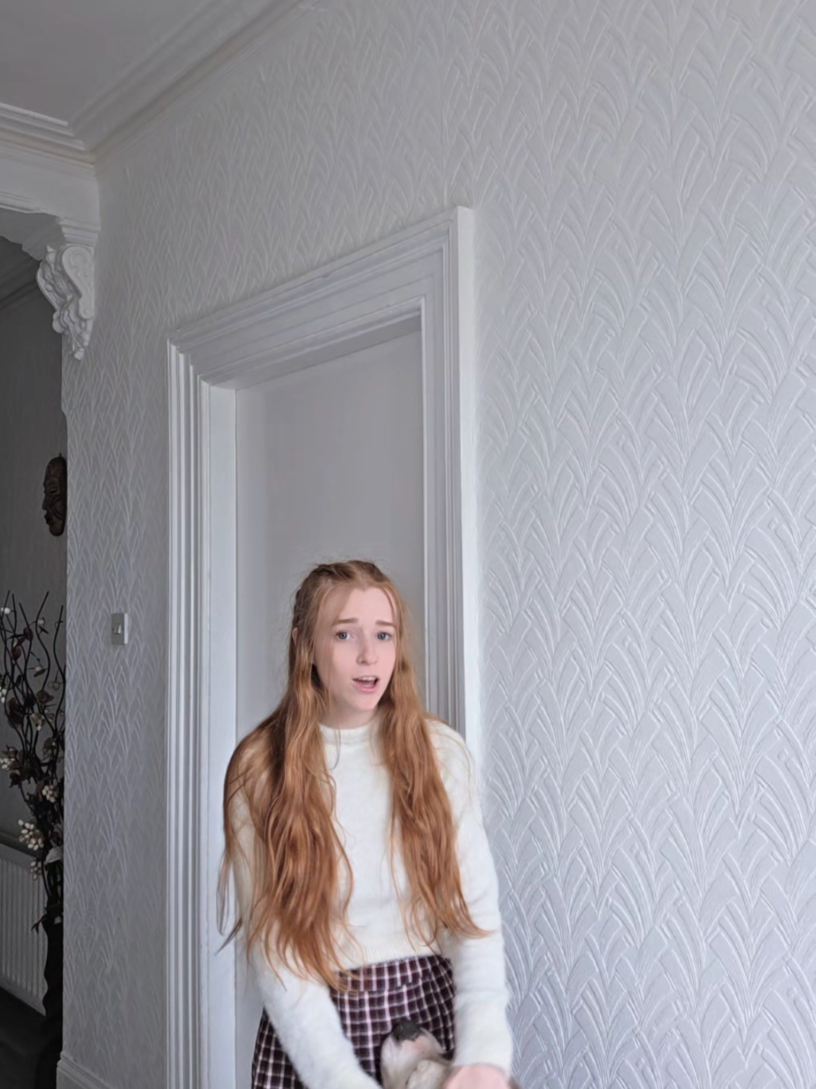 @LilRedCanvas
