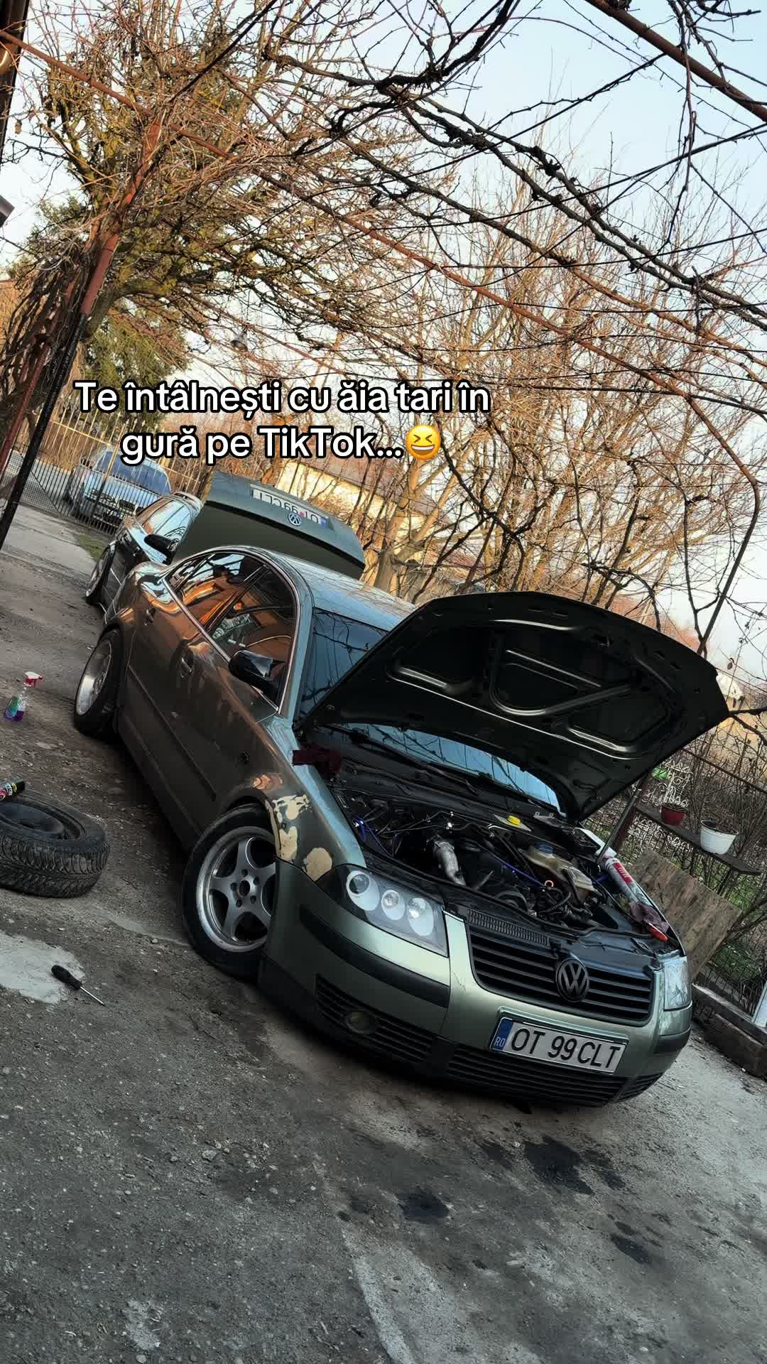 @CaloTă🐺