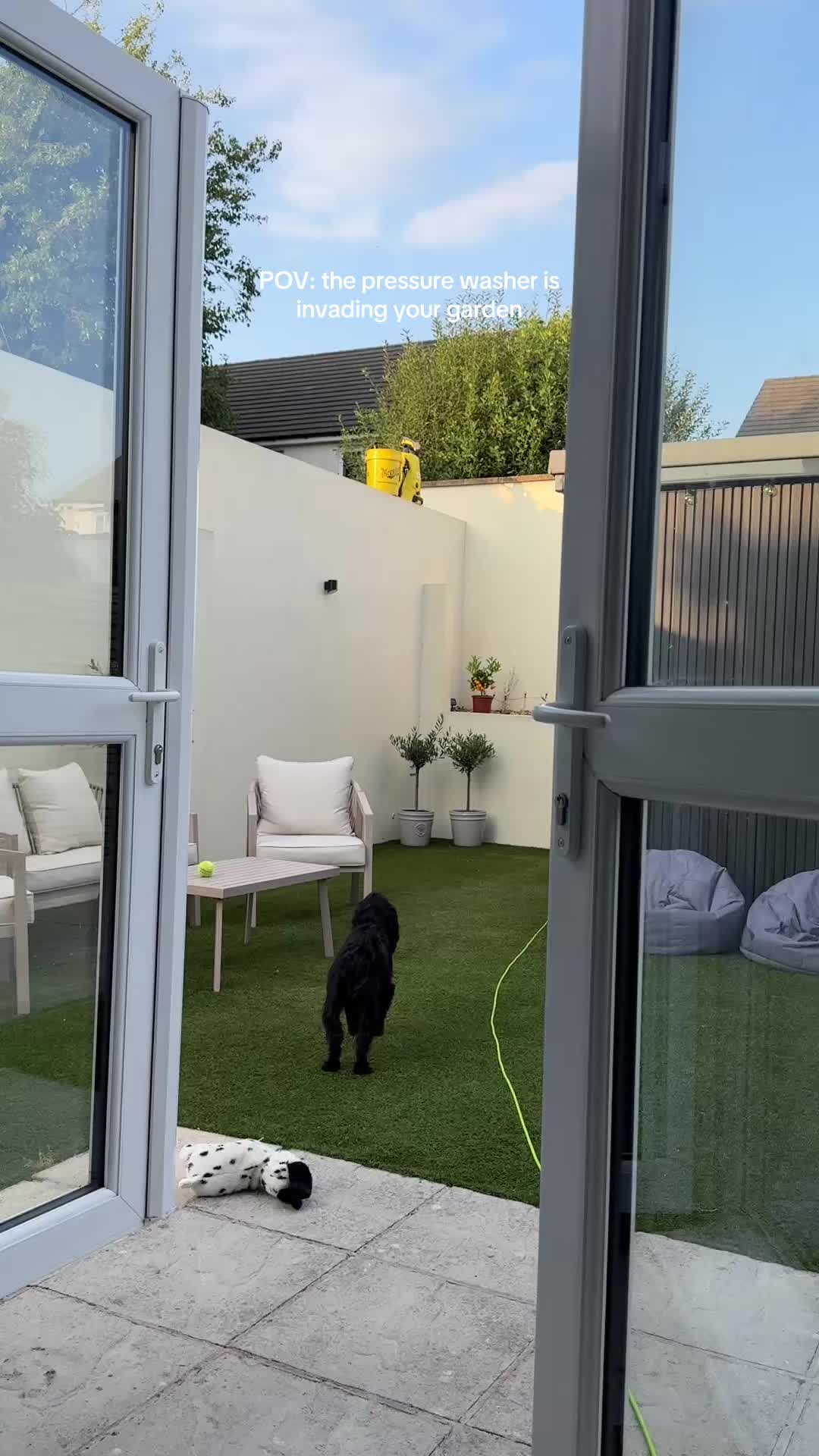 @maggie.moo.cocker