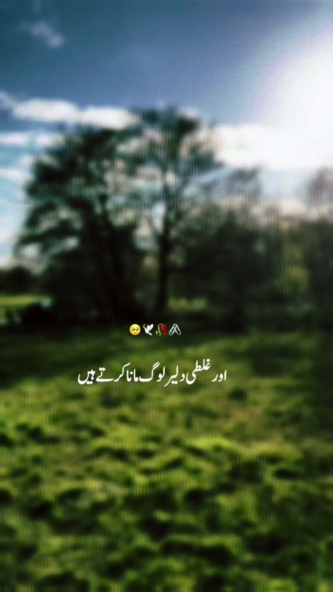 @Noor