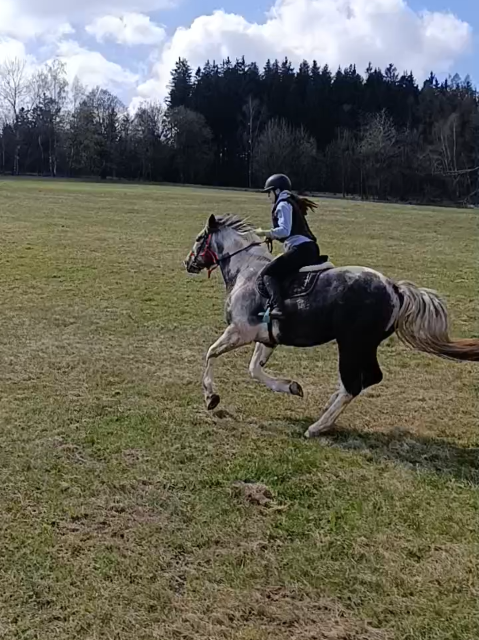 @NeLLy_and_pet
