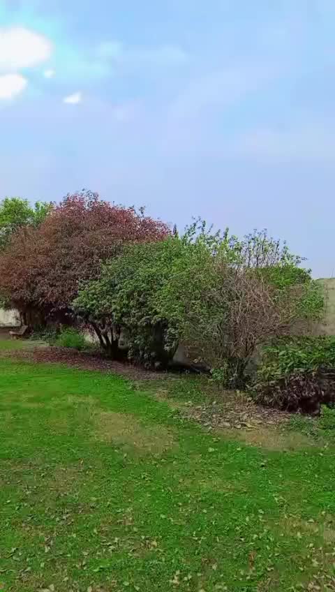 @Zulfiqar ali
