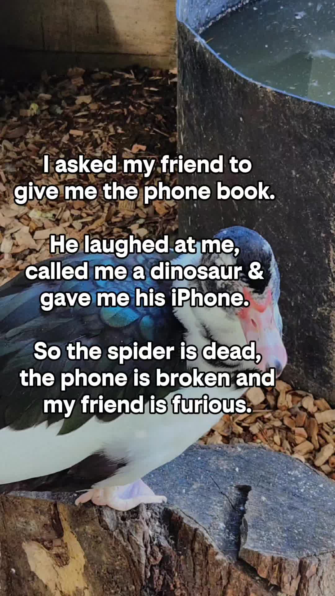 @𝐅𝐮𝐞𝐥𝐞𝐬𝐬