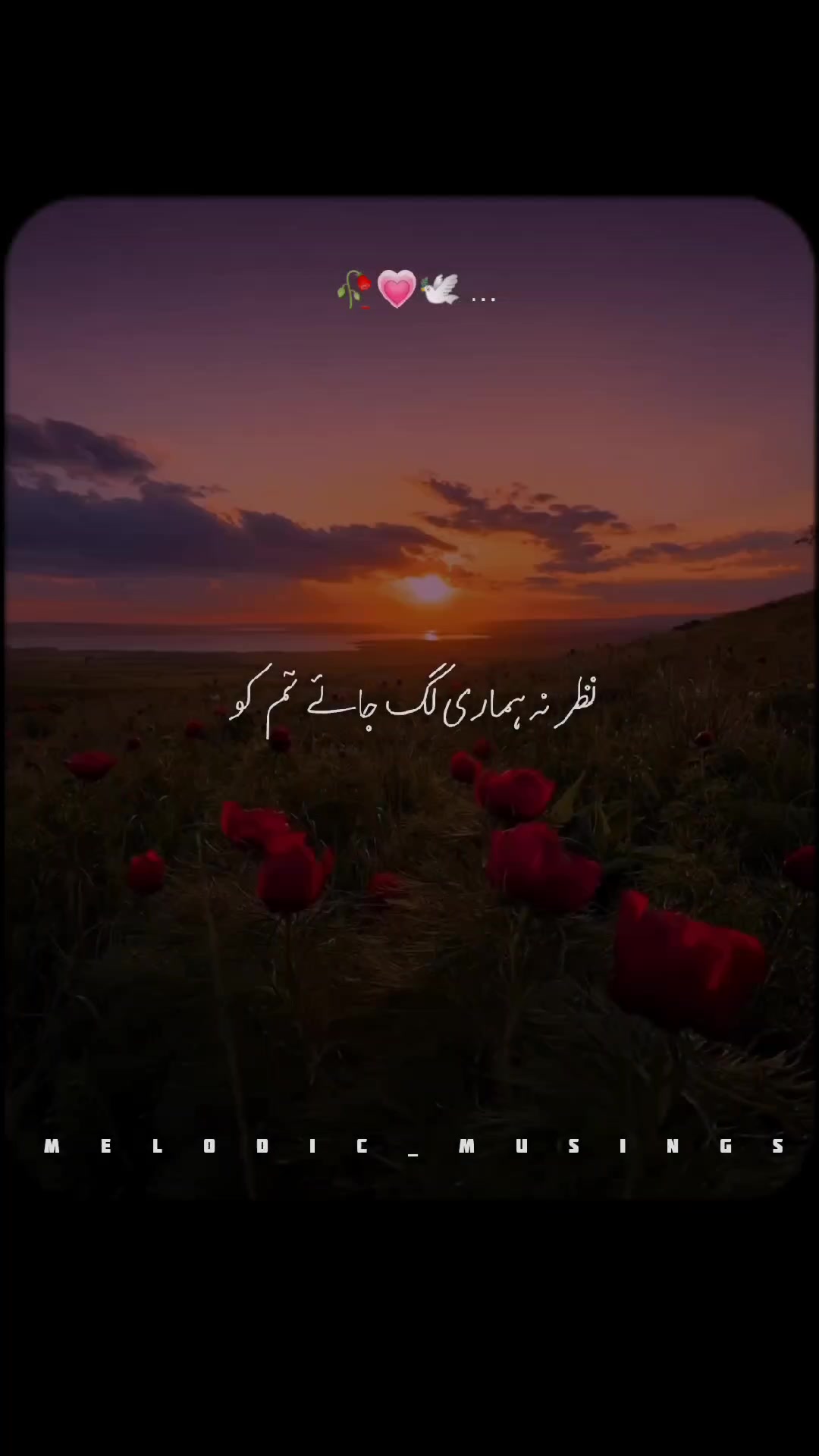@Melodic Musings🎧🥀