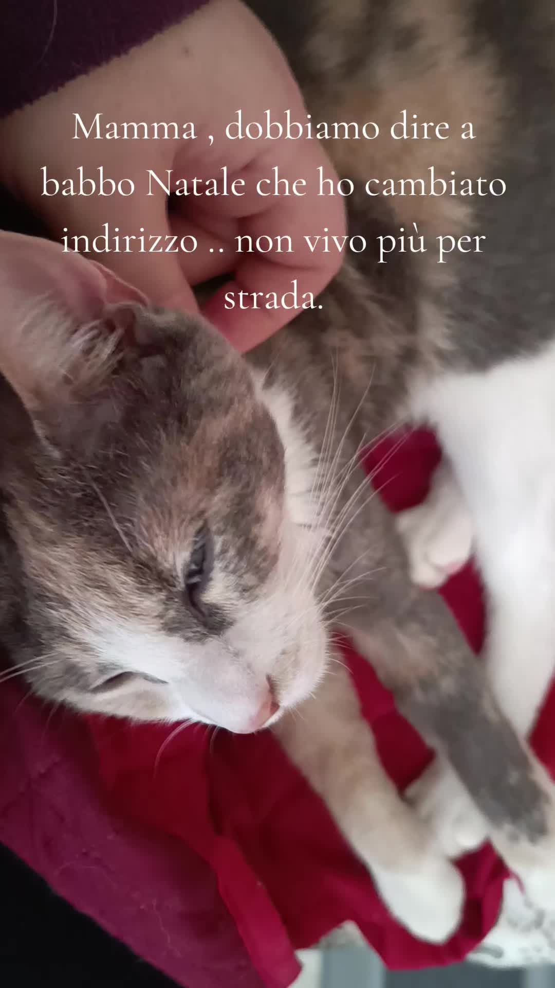 @Francesca Lanzill
