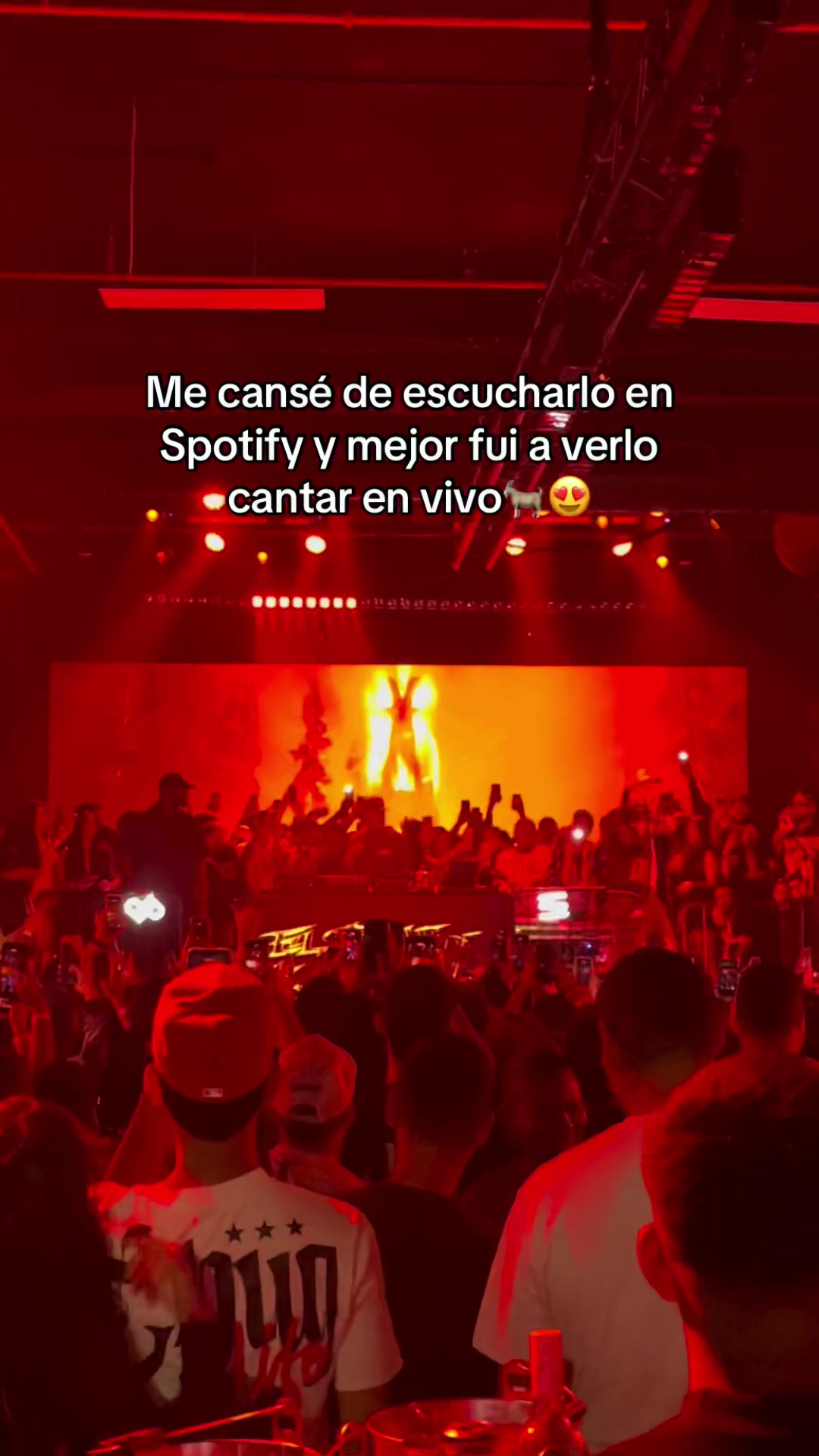 @Ivannap_🧸