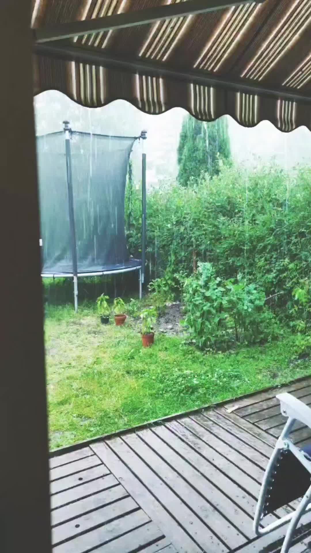 @Haloneeen