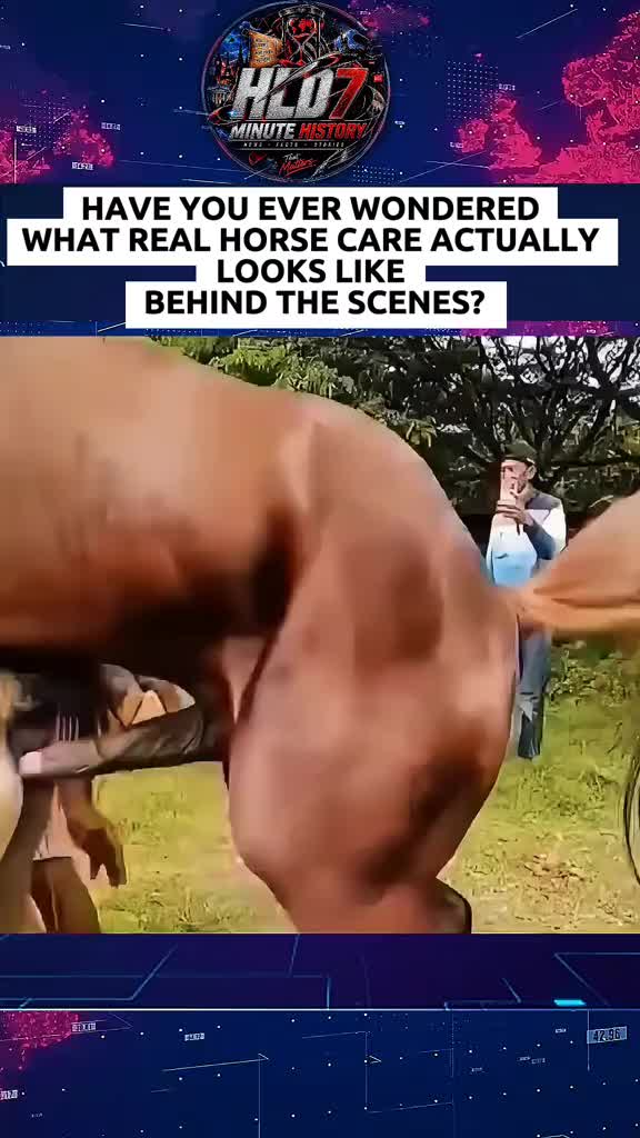 @animallifevideo