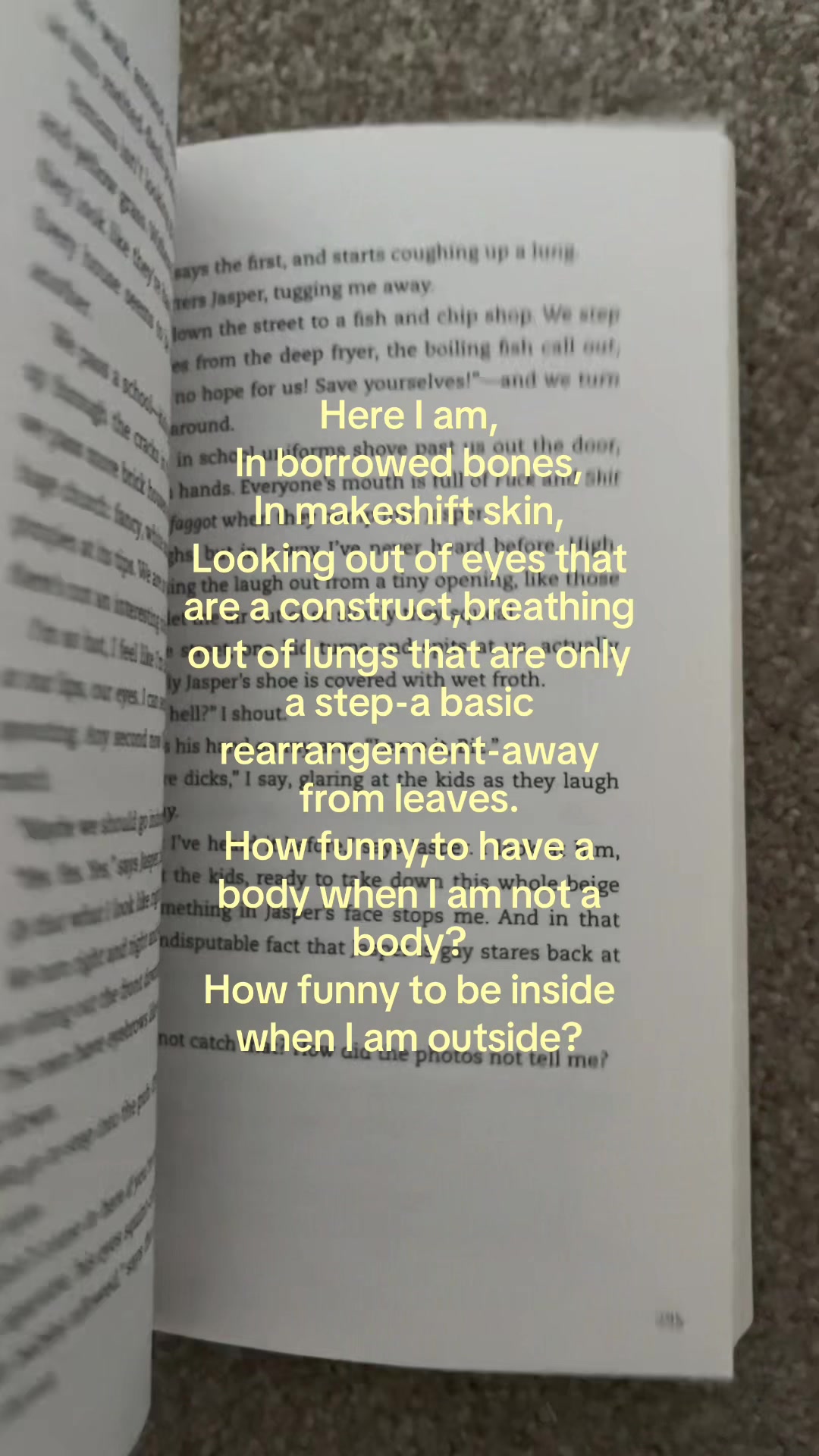 @📚🪩