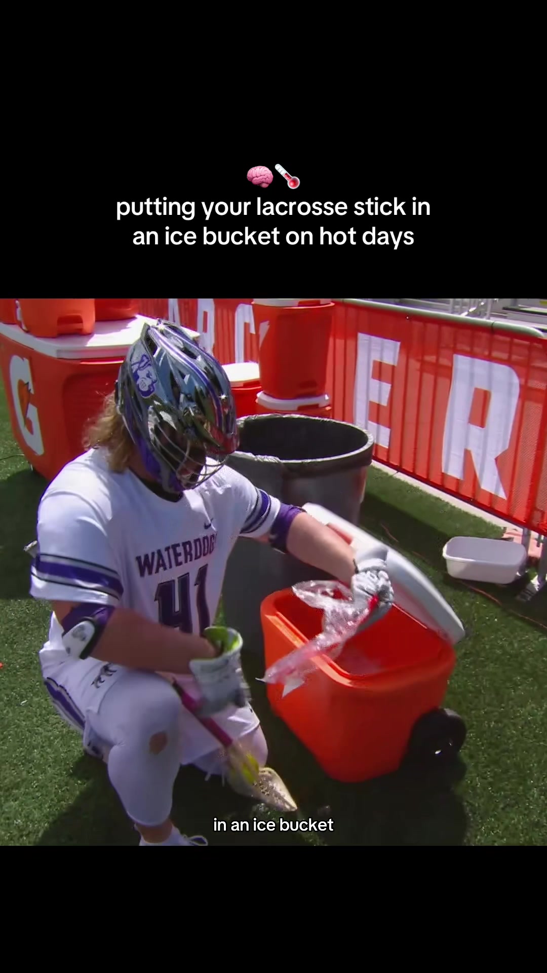 @Premier Lacrosse League