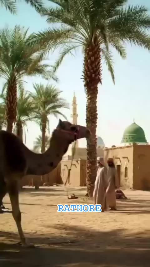 @Mohammad Zaheer Attari