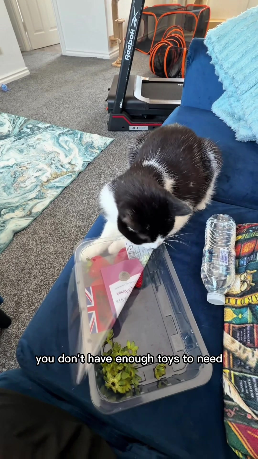 @slavic_cat_mum