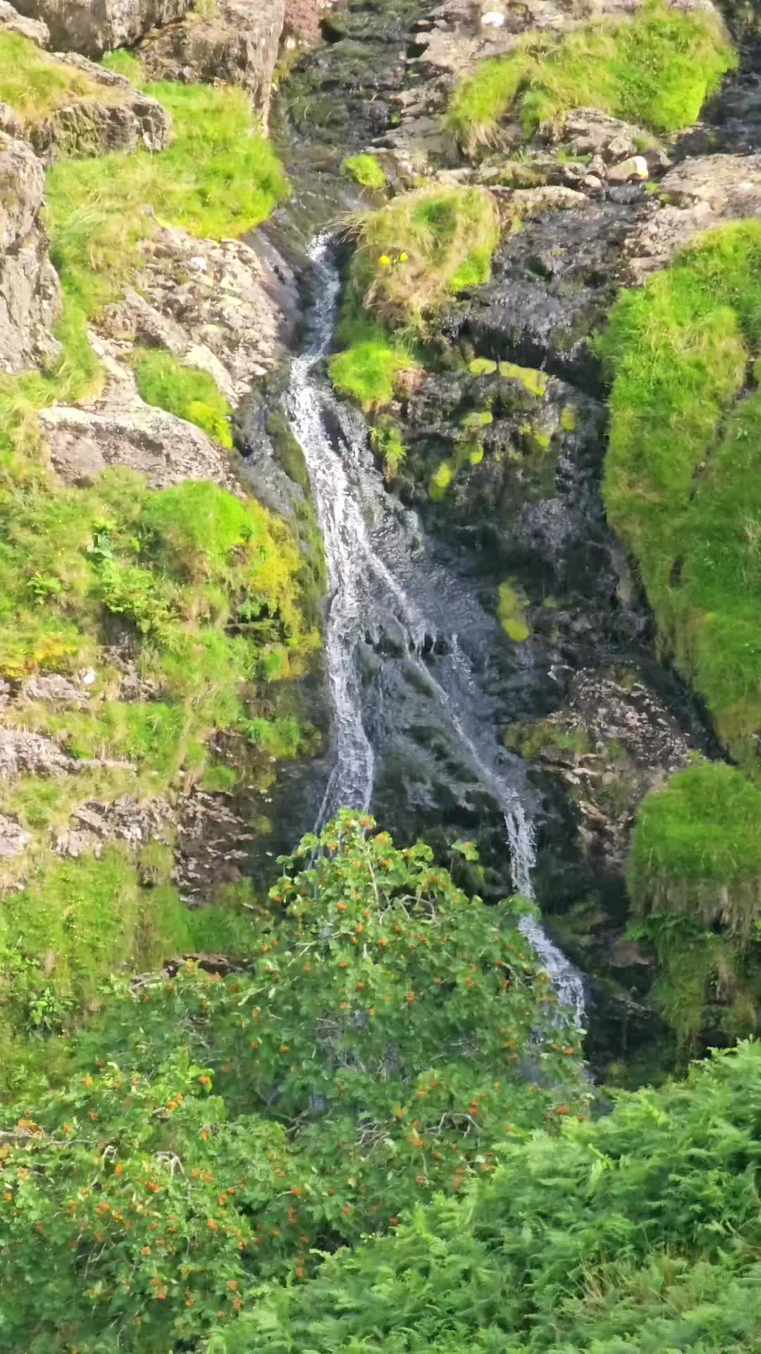 @Diary of a nature lover
