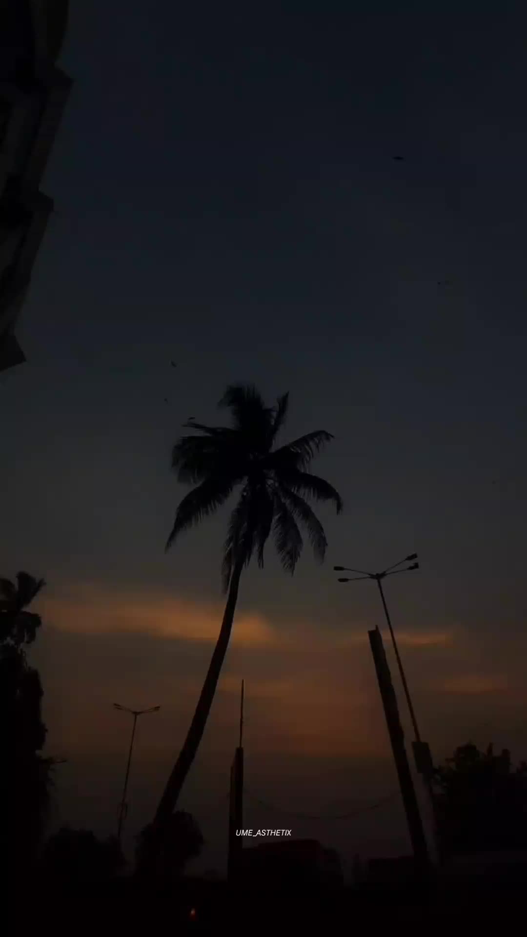 @𝙐 𝙈 𝙀🍁&bull;