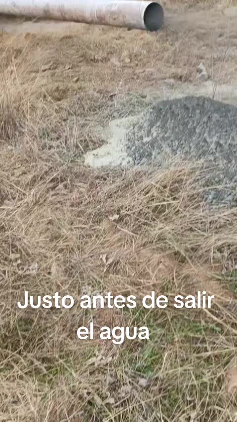 @Zahori Blas Moreno
