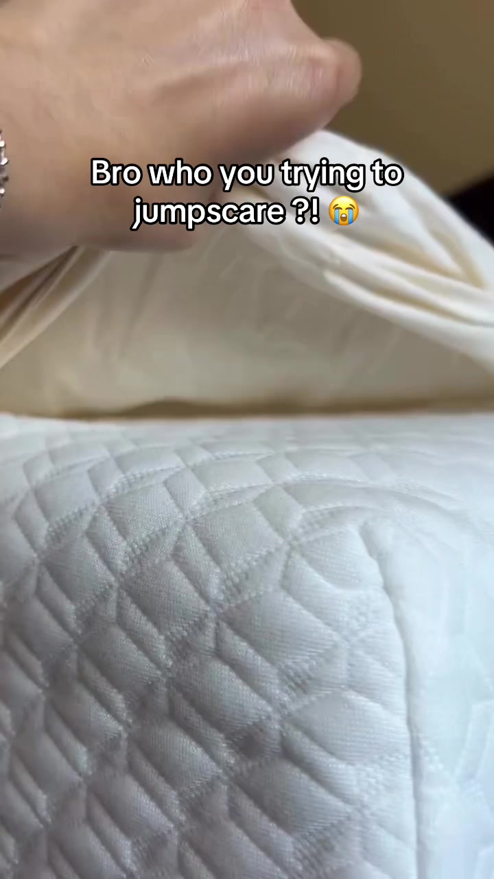 @miaou.catz