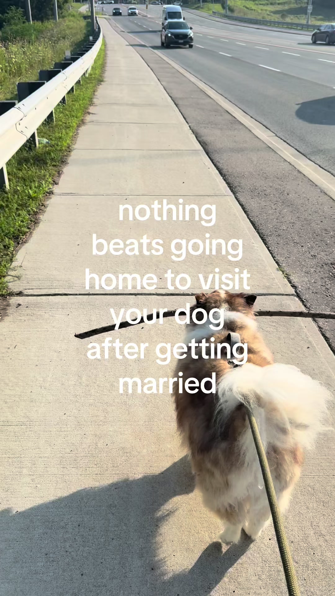 @leensreads