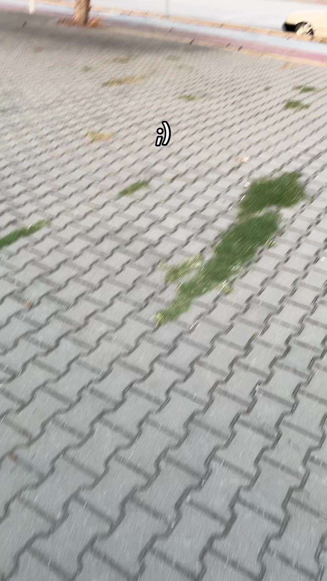 @𝓡𝓮𝓬𝓮𝓹 𝓷𝓲𝓱𝓪𝓽