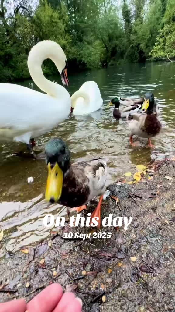 @flora_fauna_fur_feathers