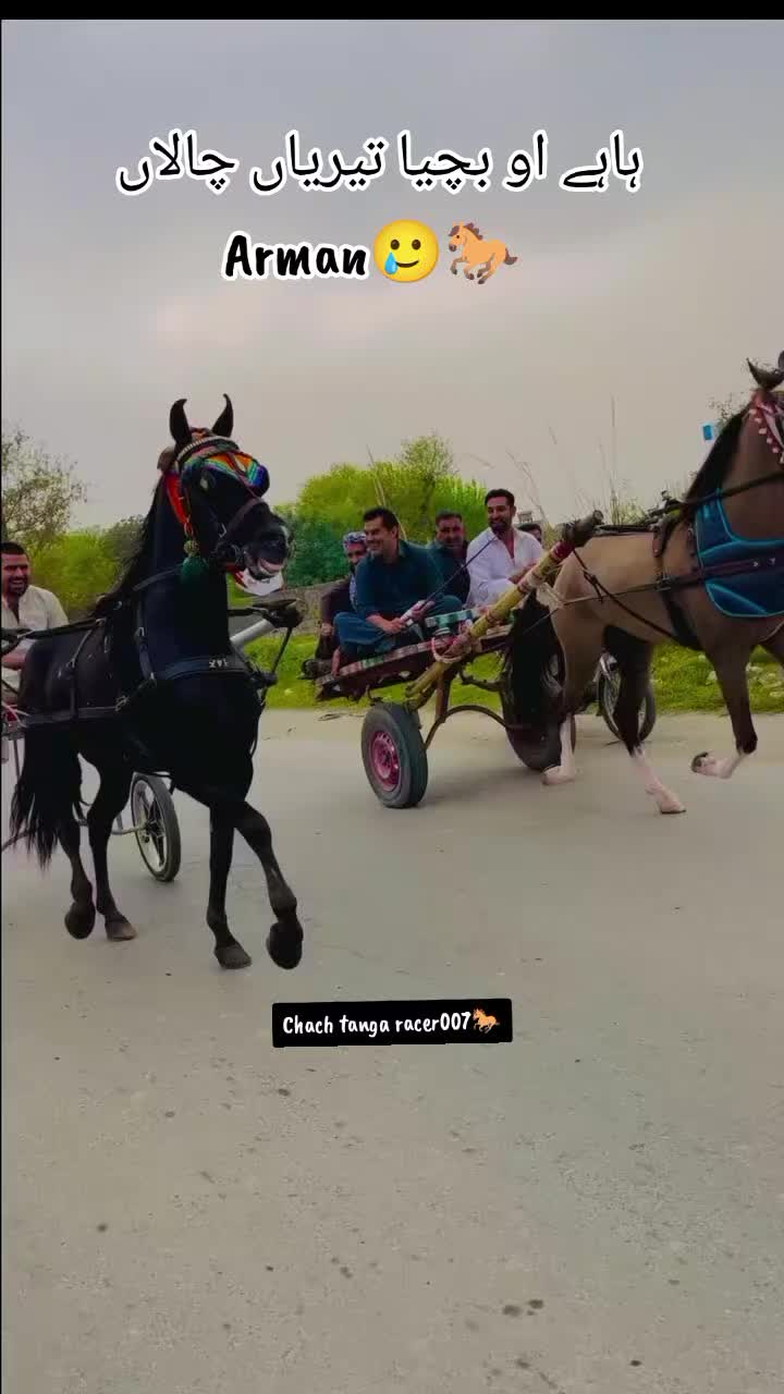 @Chach tanga racer007🐎