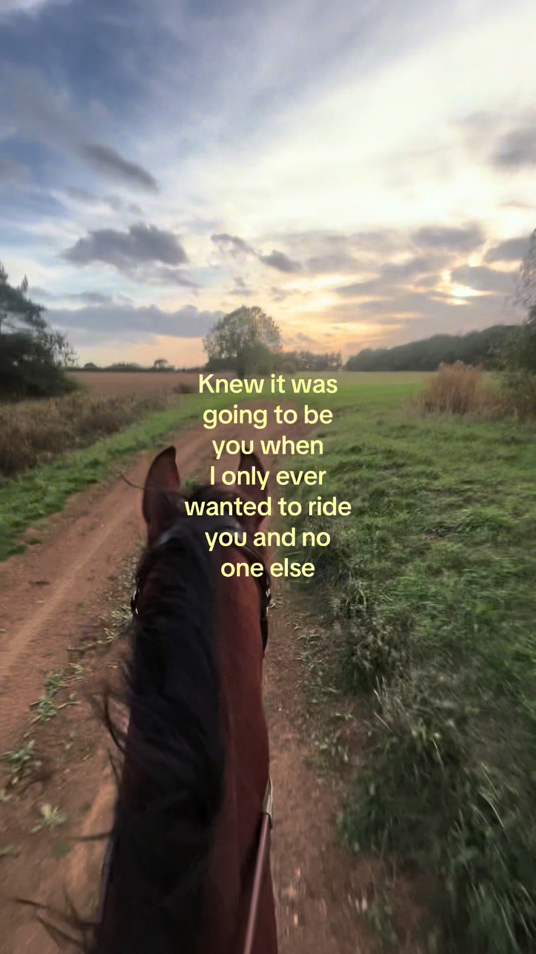 @🥂🐎🦢