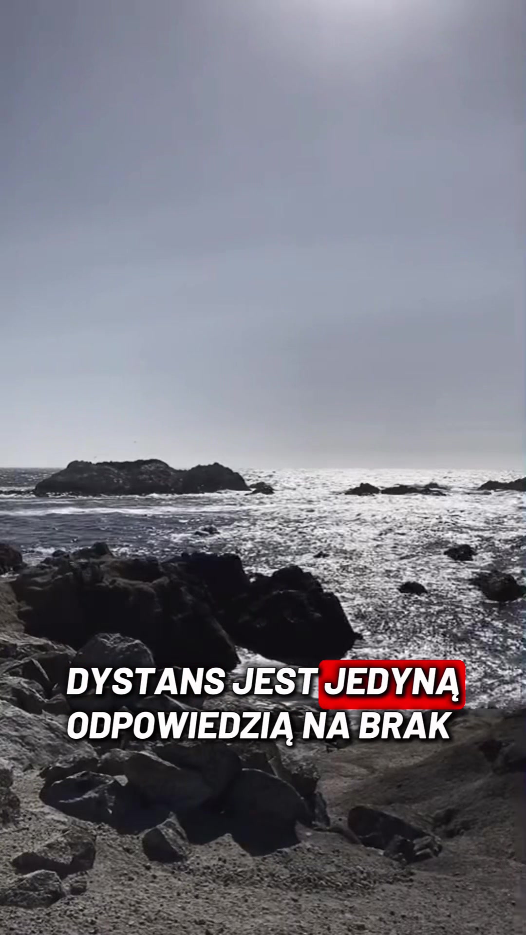 @Monika Frytka