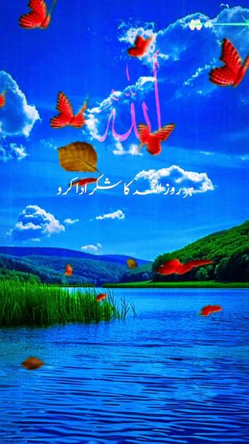 @madinamunawar7