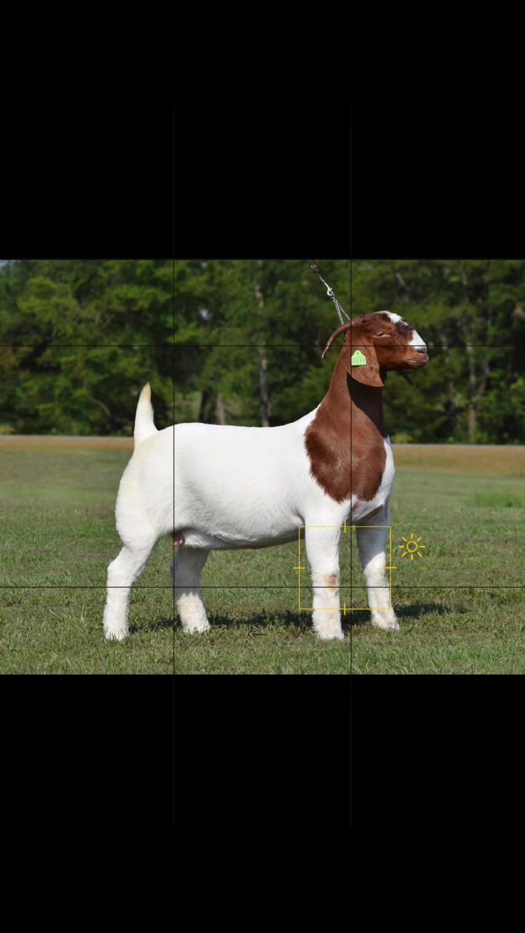@Jmertinsfarm