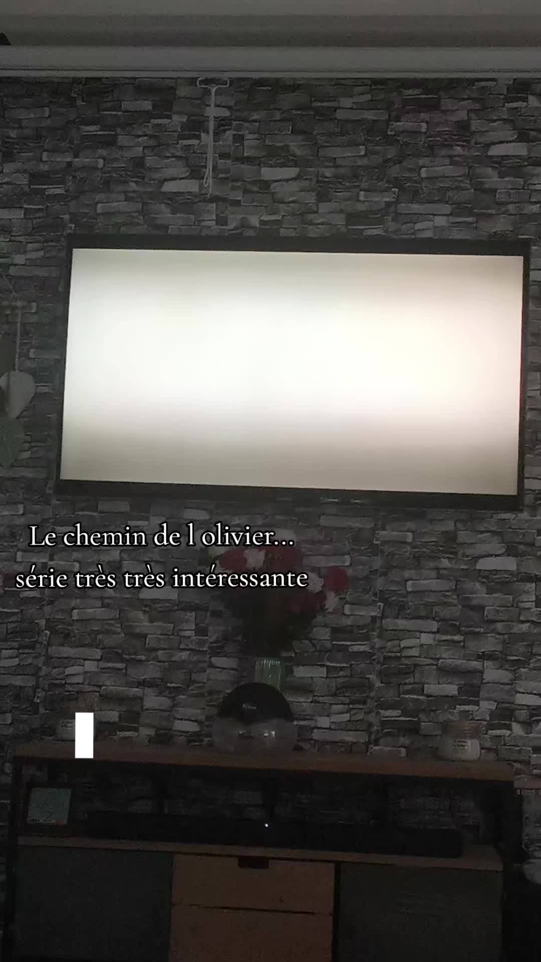 @Powline Dms