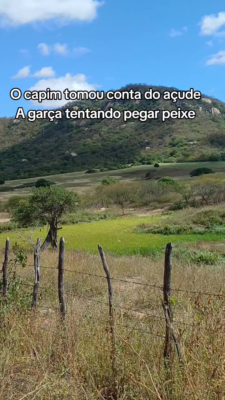 @Amante da natureza
