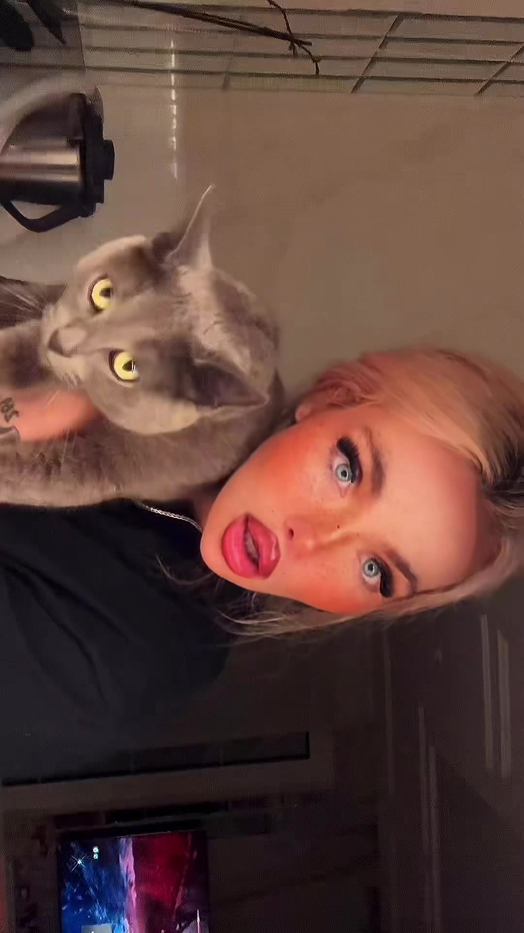 @ZUSJE