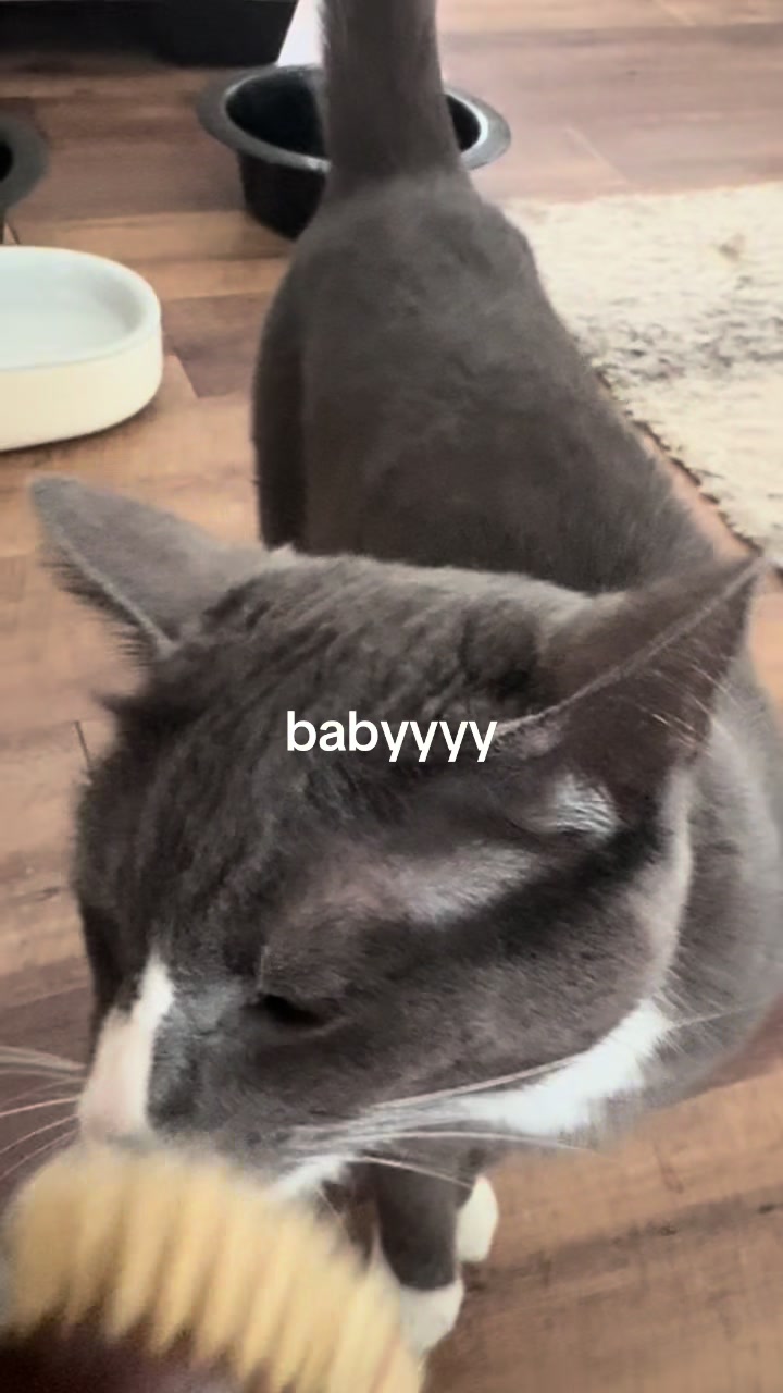 @maryyy🍄🧚🌙🐈&zwj;⬛