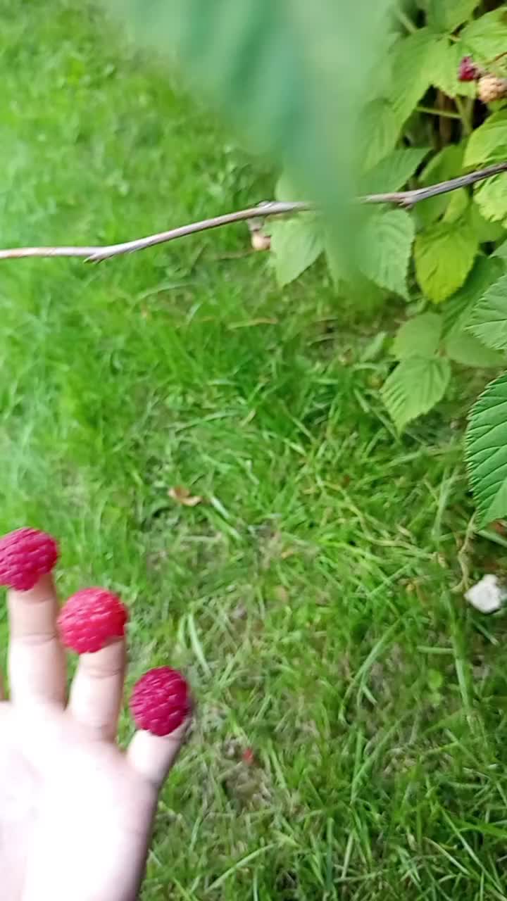 @Roksana.jab