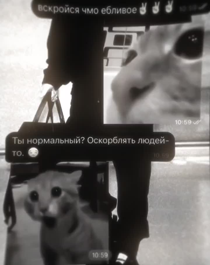 @дантист