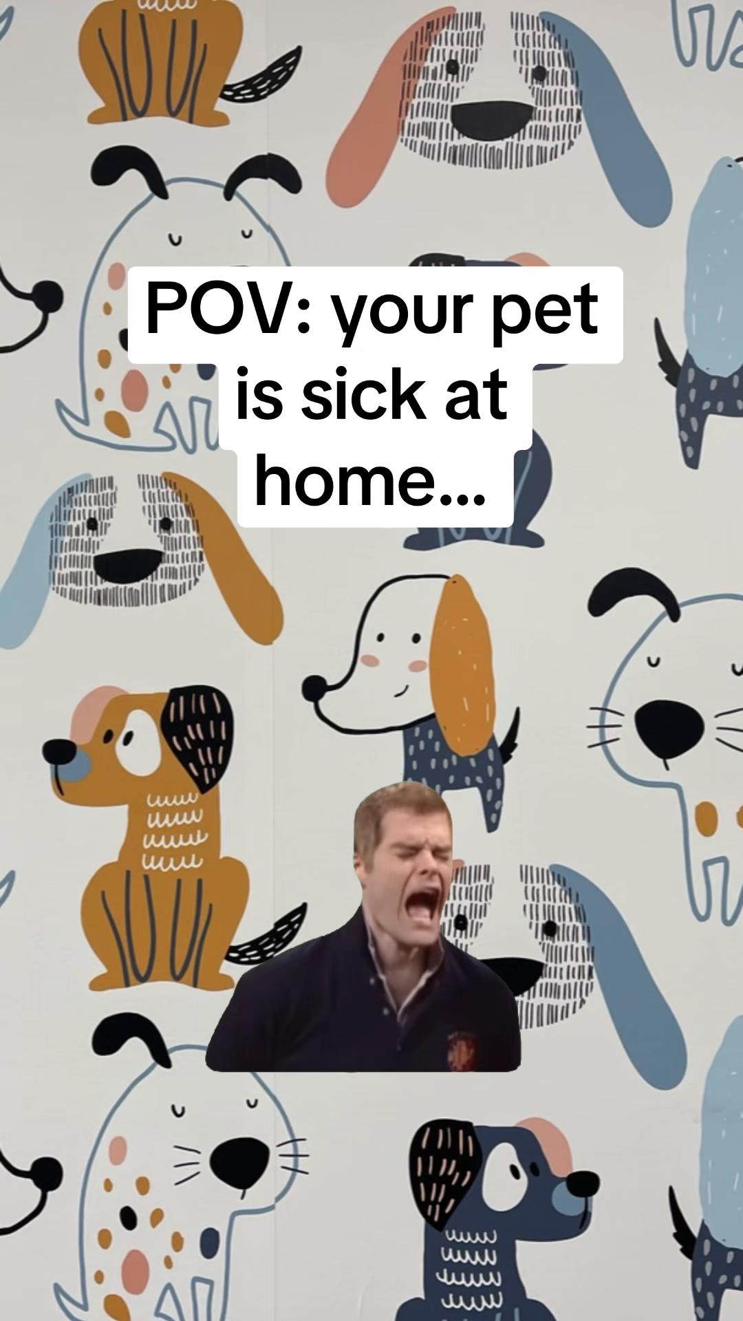 @Snodgrass Vet