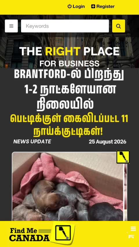 @FindMe  Place For Business 🌎