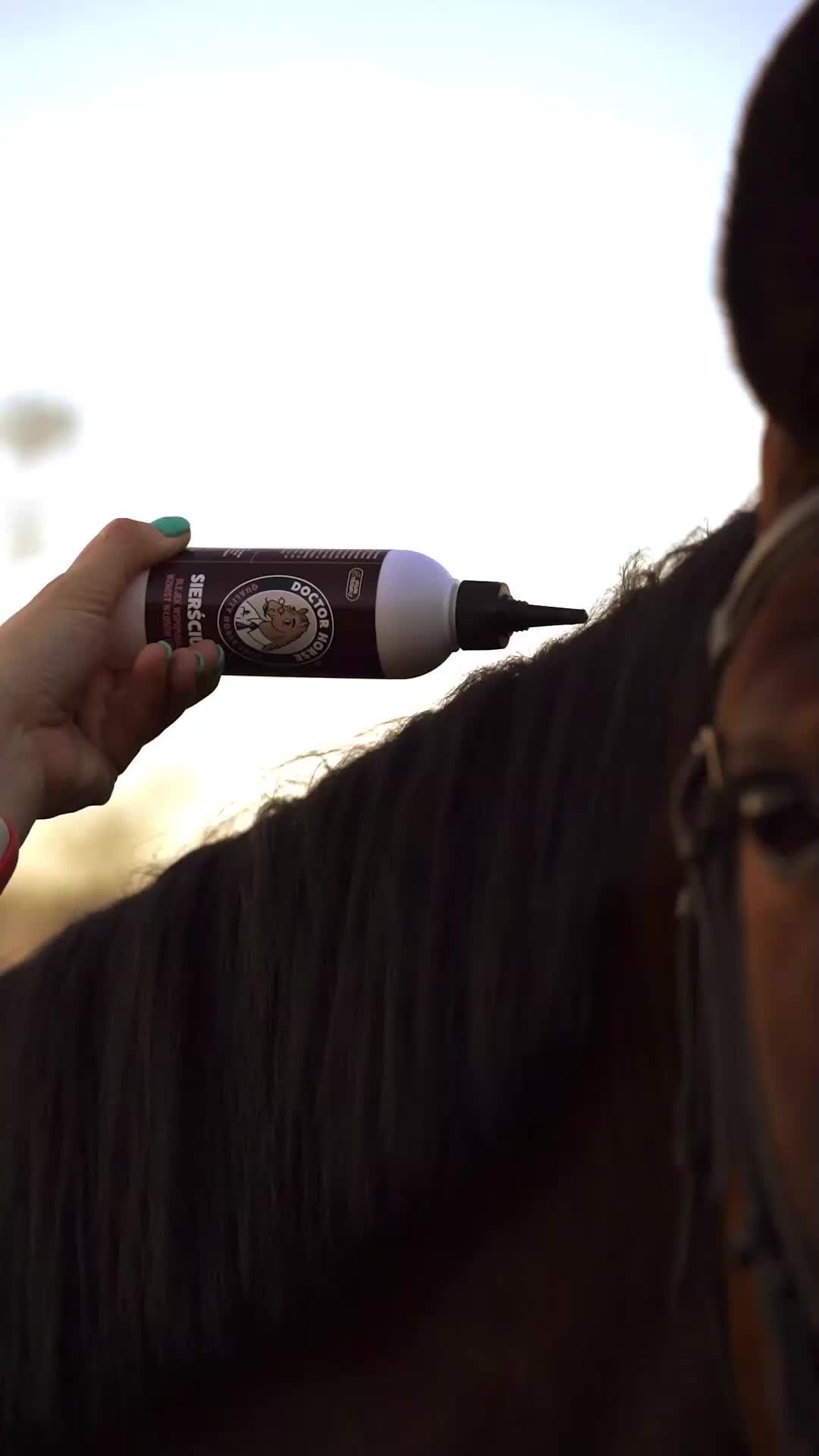 @Doctor Horse