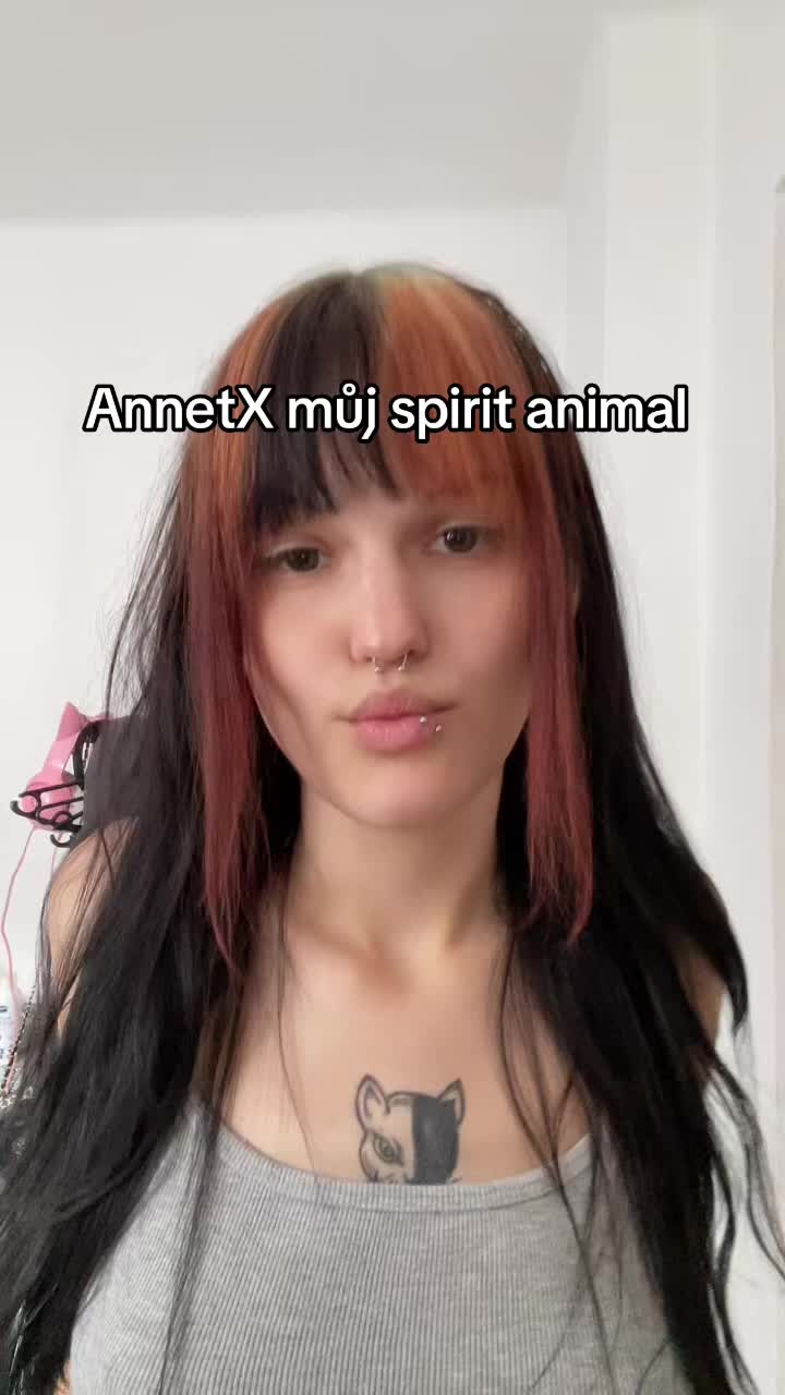 @petulkaa