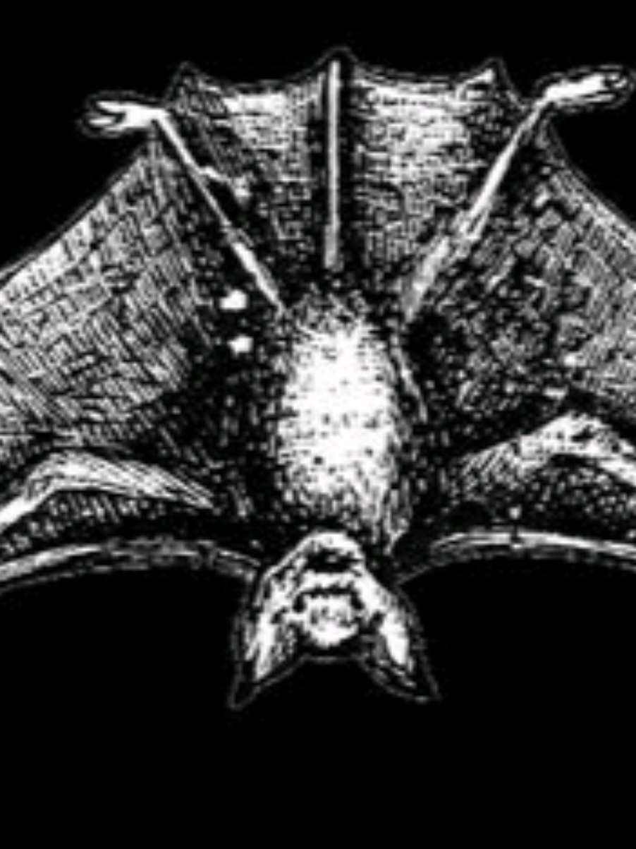 @⛧𝖆𝖑𝖐𝖐𝖚⛧