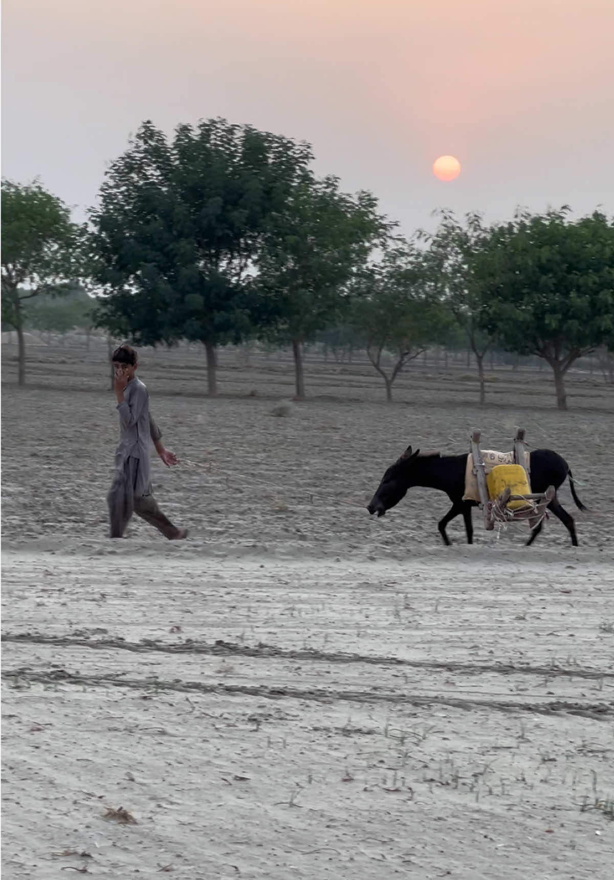 @شیرگڑھ تھل💫