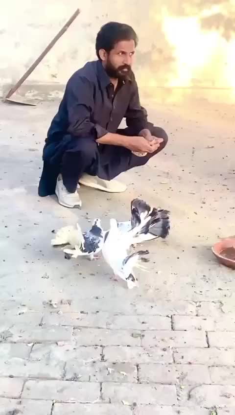 @salmansahth