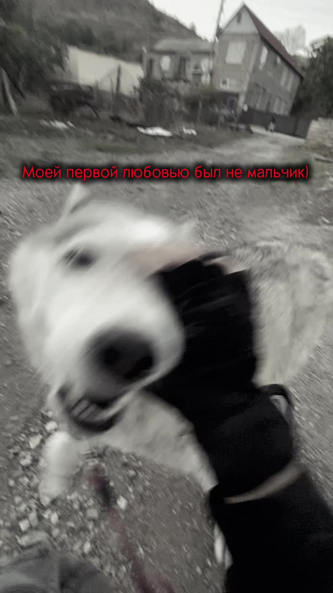 @У меня бошка из кортошки☺️