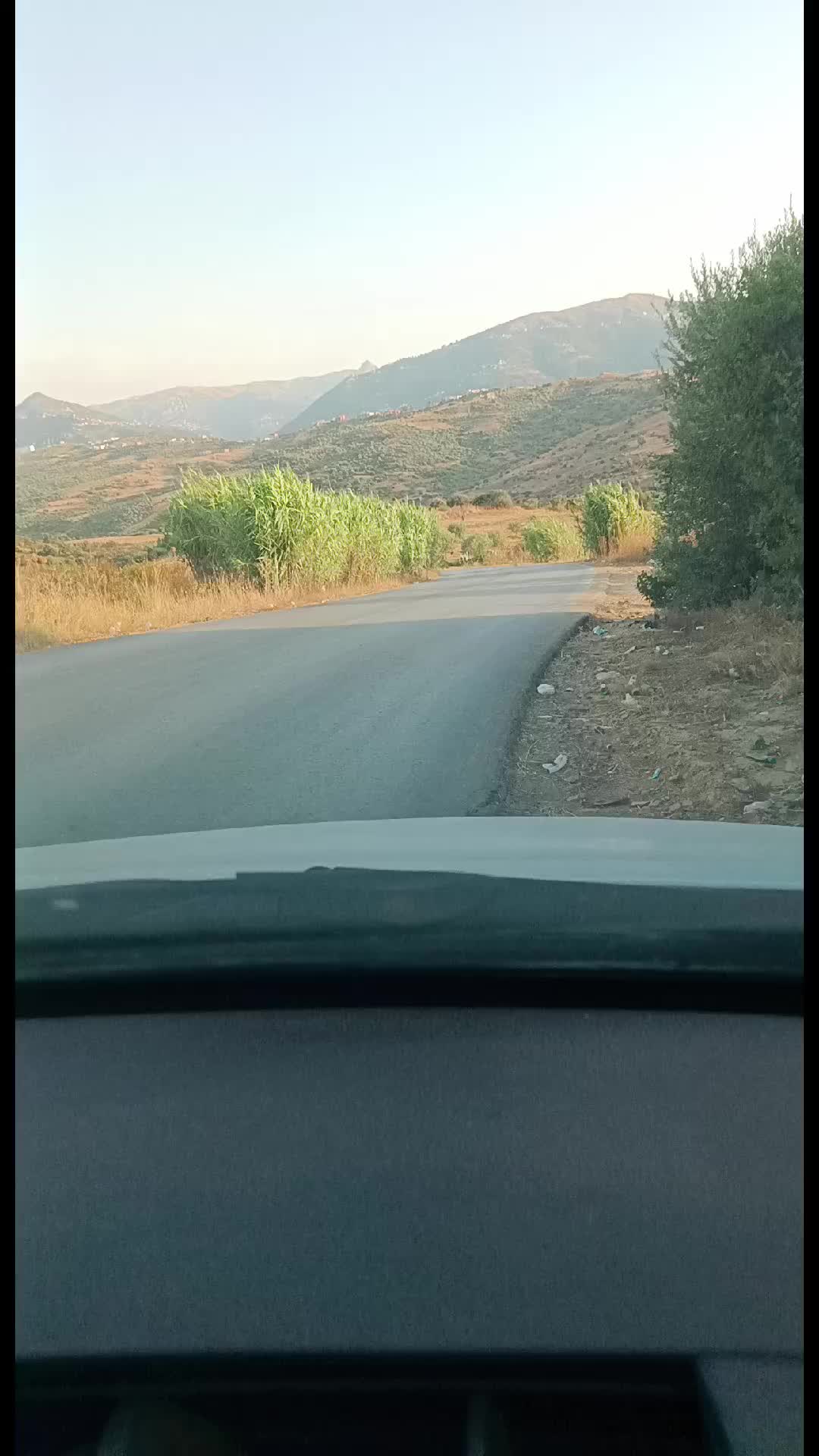 @kabyle-dz