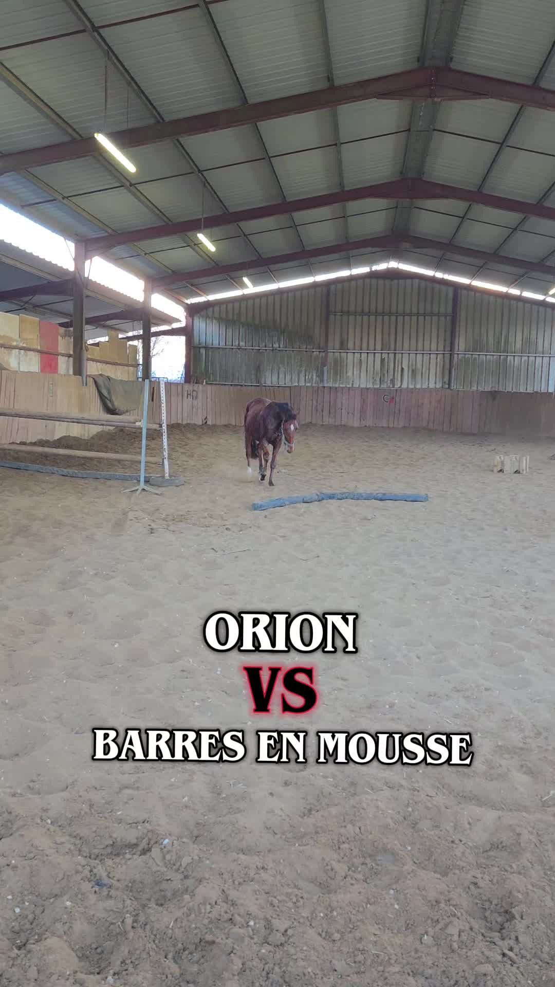 @axelle_pitch